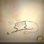 reconstrucción Iguanodon