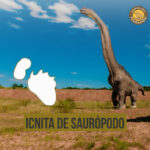 icnita saurópodo