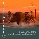 PORTADA Fundamental 33 Los neandertales y su alta capacidad pulmonar B