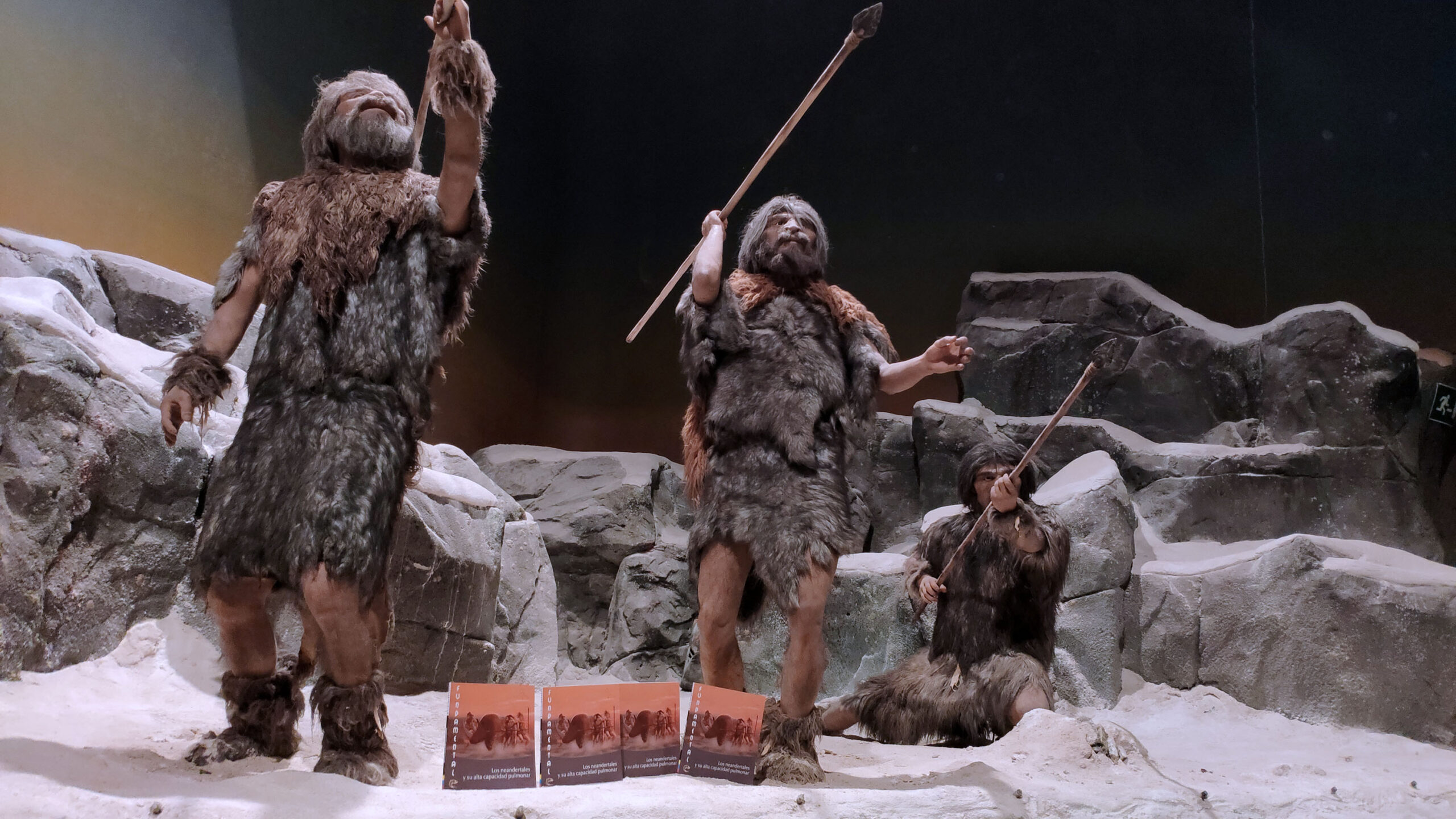 Publicación Fundamental Los neandertales y su alta capacidad pulmonar