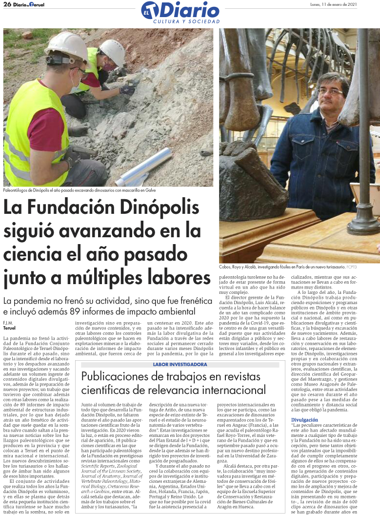 Diario actividad Fundación 2020