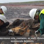 1 Fotograma docu amber