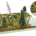 01 Reconstrucción del ecosistema pantanoso de Ariño durante el Cretácico Inferior. Artista José Antonio Peñas