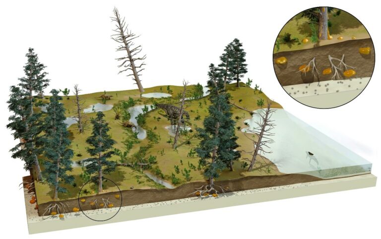 01 Reconstrucción del ecosistema pantanoso de Ariño durante el Cretácico Inferior. Artista José Antonio Peñas