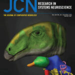 Portada del último número de la revista científica JCN con el artículo sobre el estudio paleoneurológico del dinosaurio Proa de Ariño Teruel