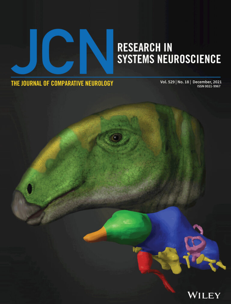 Portada del último número de la revista científica JCN con el artículo sobre el estudio paleoneurológico del dinosaurio Proa de Ariño Teruel