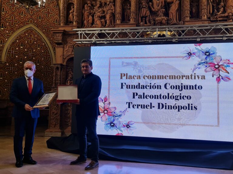 273925828 3182469695299521 5788456749539485103 n