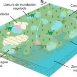 Foto 1 sedimentology