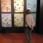 FOTO 1 PTUR Pósters Museo Paleontológico Dinópolis