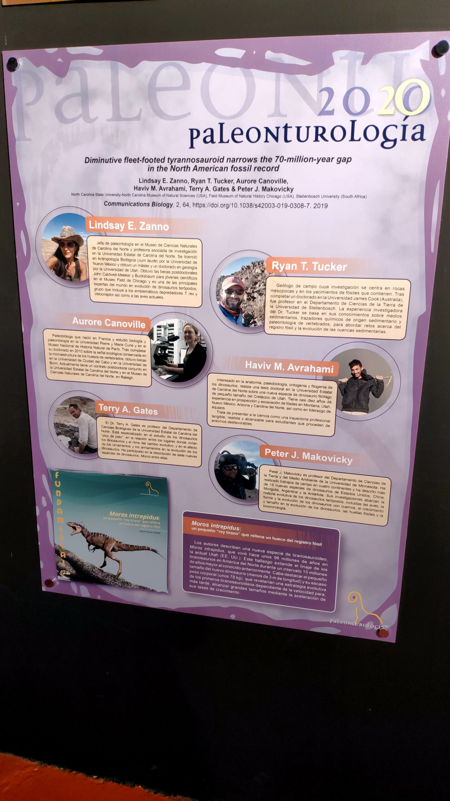 FOTO 2 PTUR20 Póster Museo Paleontológico Dinópolis