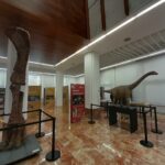 40 años creciendo 1