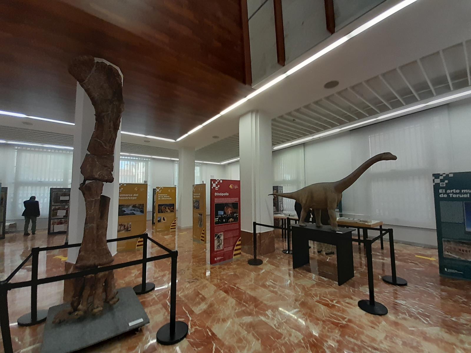 40 años creciendo 1