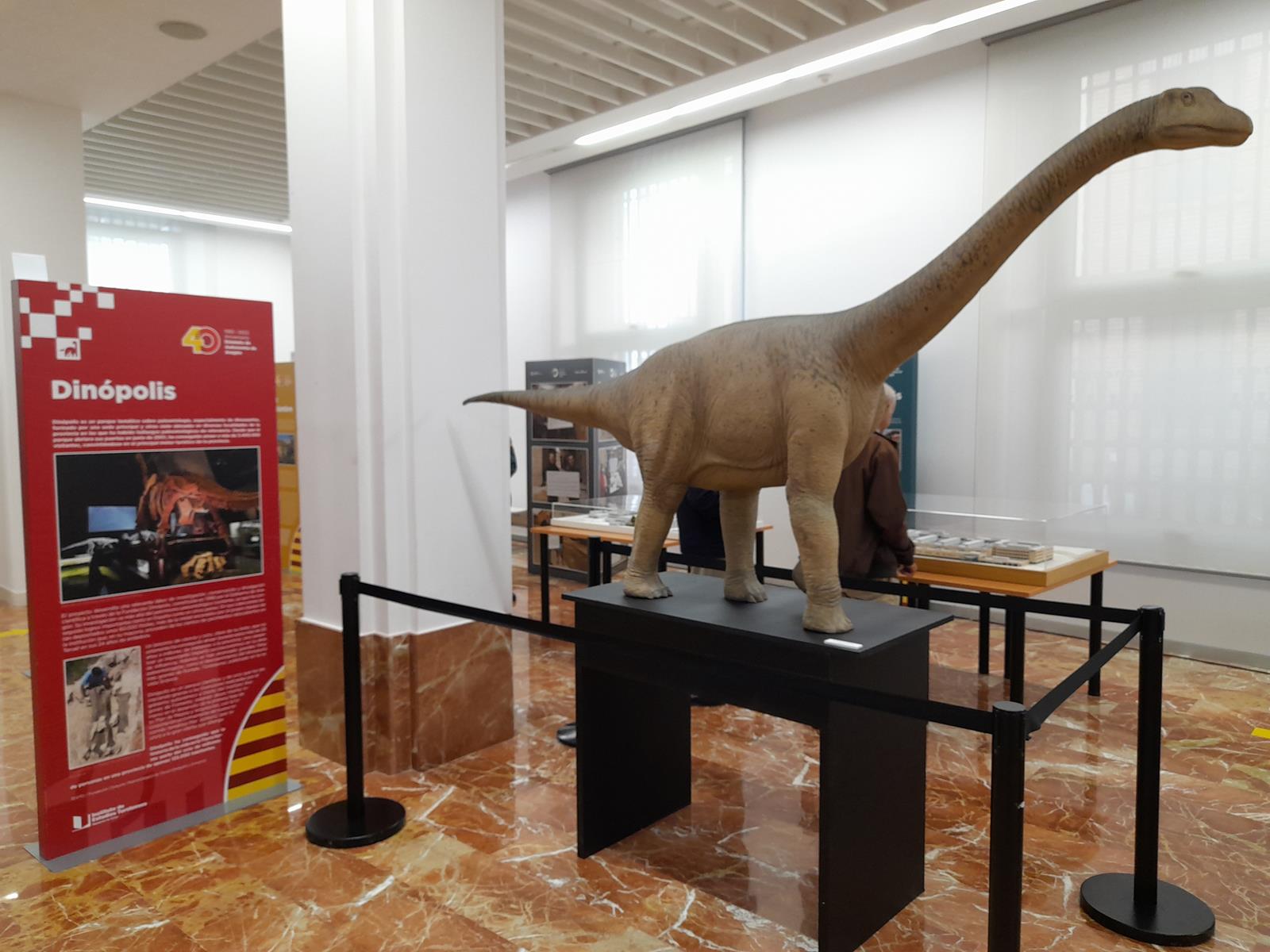 40 años creciendo 2