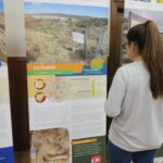 Los yacimientos paleontológicos BIC en LPV 2