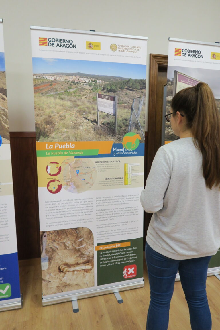 Los yacimientos paleontológicos BIC en LPV 2