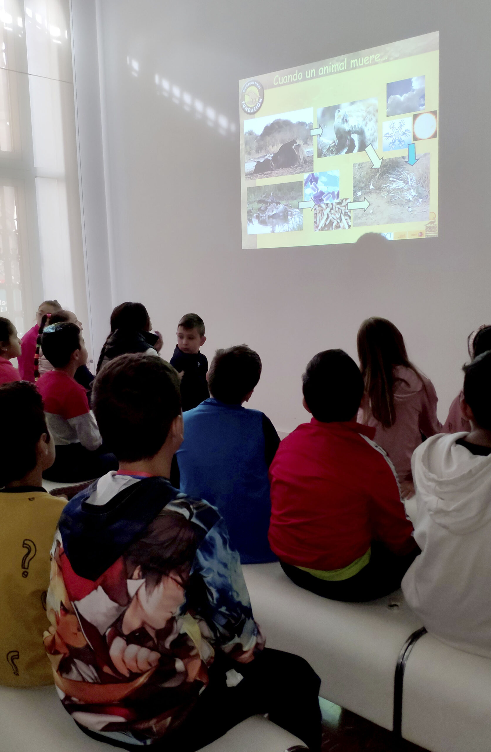 Taller Quiero Investigar Dinosaurio 1