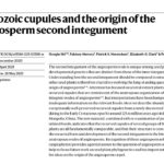 Portada articulo ganador del premio Paleonturologia22