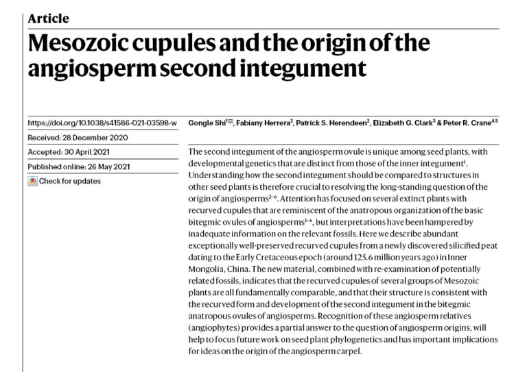 Portada articulo ganador del premio Paleonturologia22