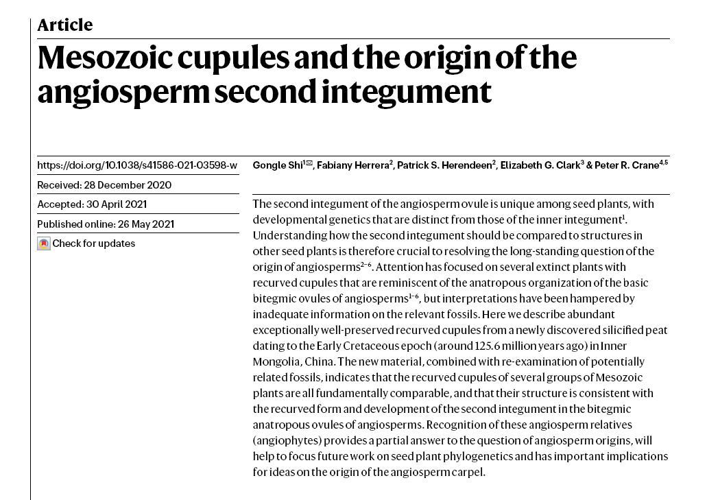 Portada articulo ganador del premio Paleonturologia22