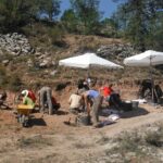 Curso de Verano Copy