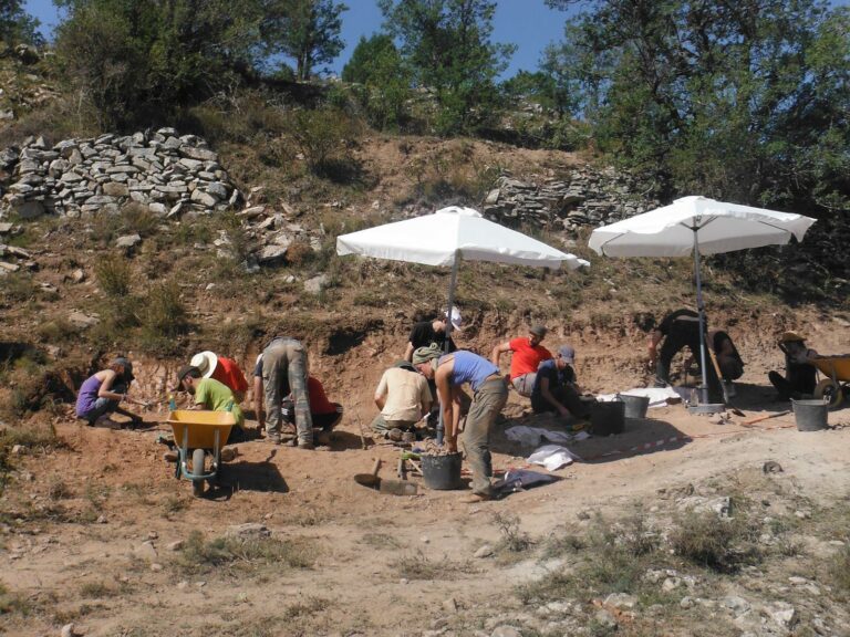 Curso de Verano Copy