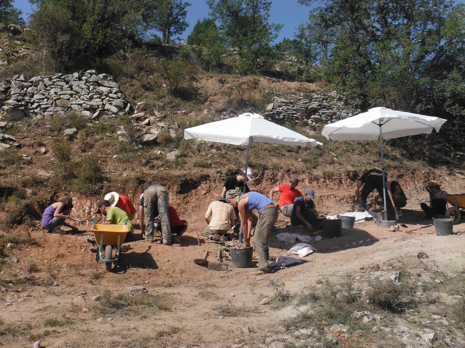 Curso de Verano Copy