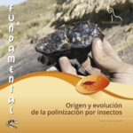 Foto 1 Portada Fundamental PTUR 2021