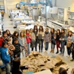 Foto 1 JPA DIM FCPTD