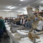 Foto 1 Visita público general JPA Fundación Dinópolis DIM 2023 SALA COLECCIONES Copy