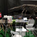 LIBS Raman PYRITEDINOSAUR