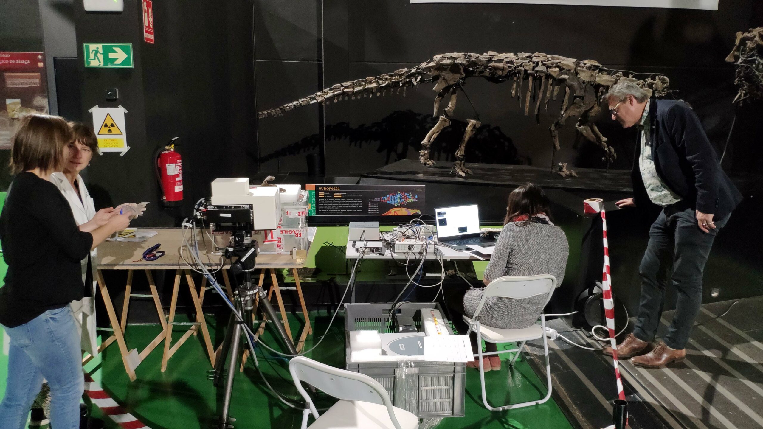 LIBS Raman PYRITEDINOSAUR