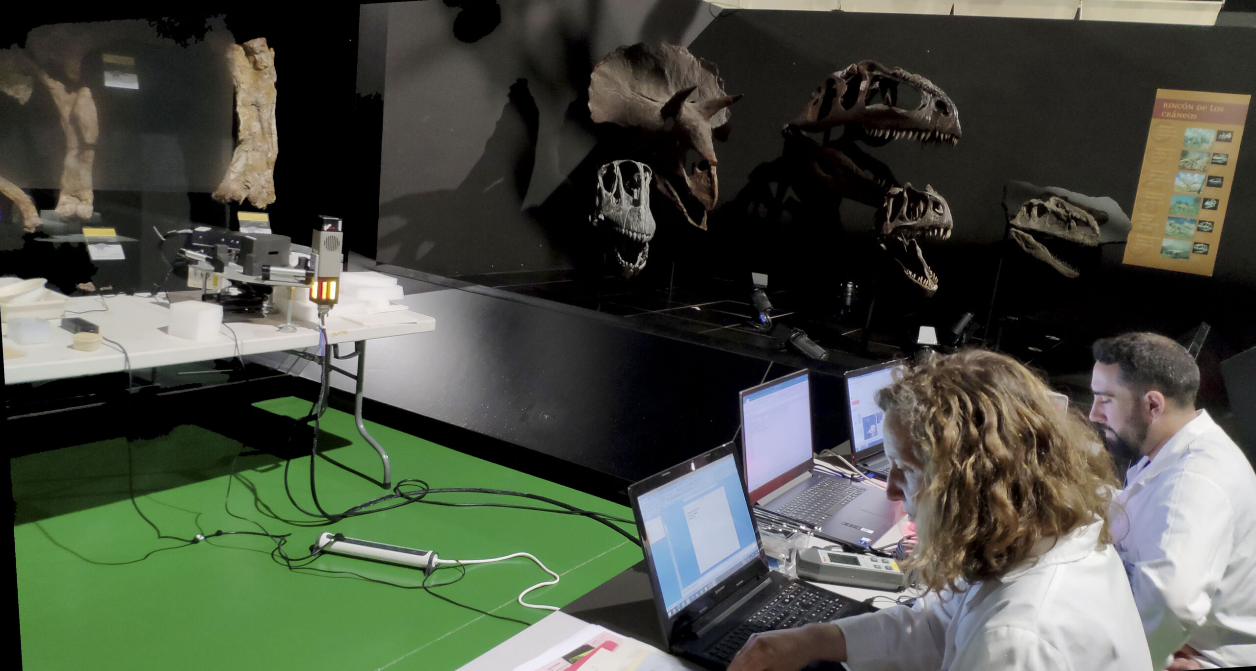 XRD XRF PYRITEDINOSAUR