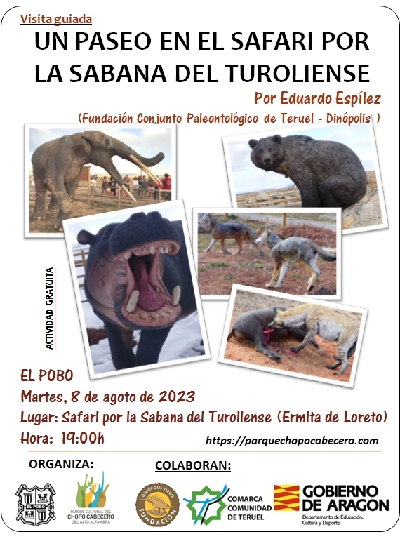 IMG 20230725 WA0000 Copy