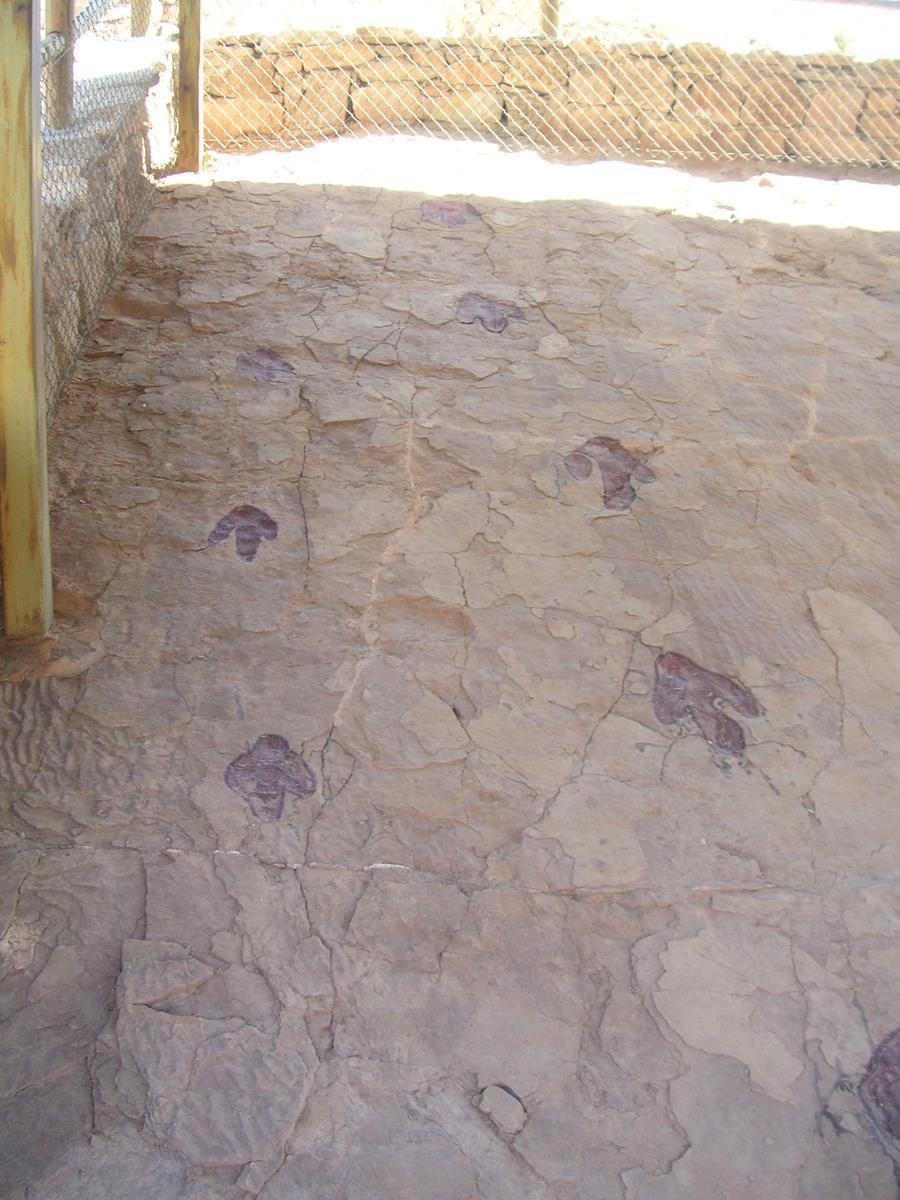 Rastros paralelos Copy