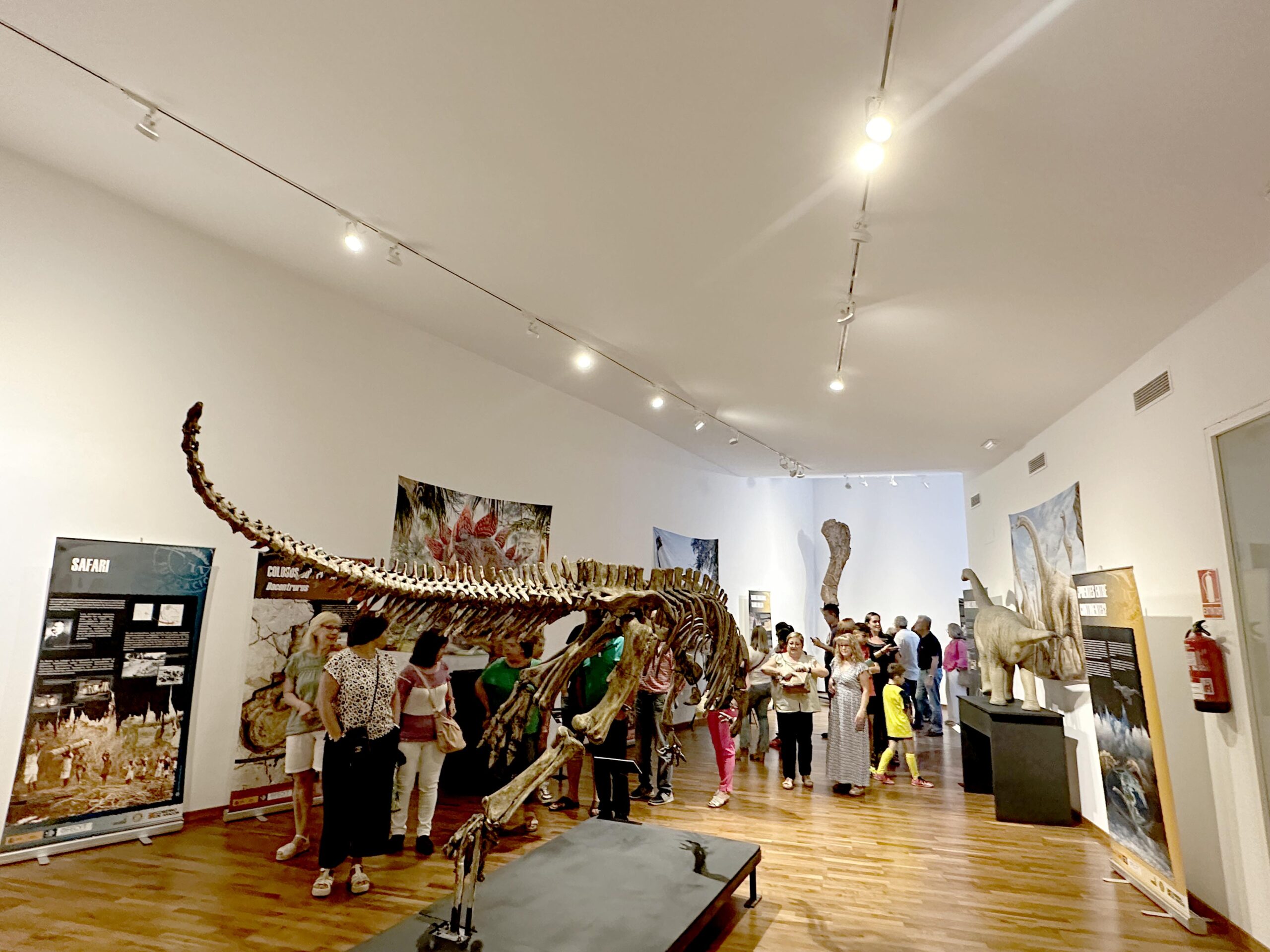 Expo Colosos Jurásicos FCPTD en Jaén 2