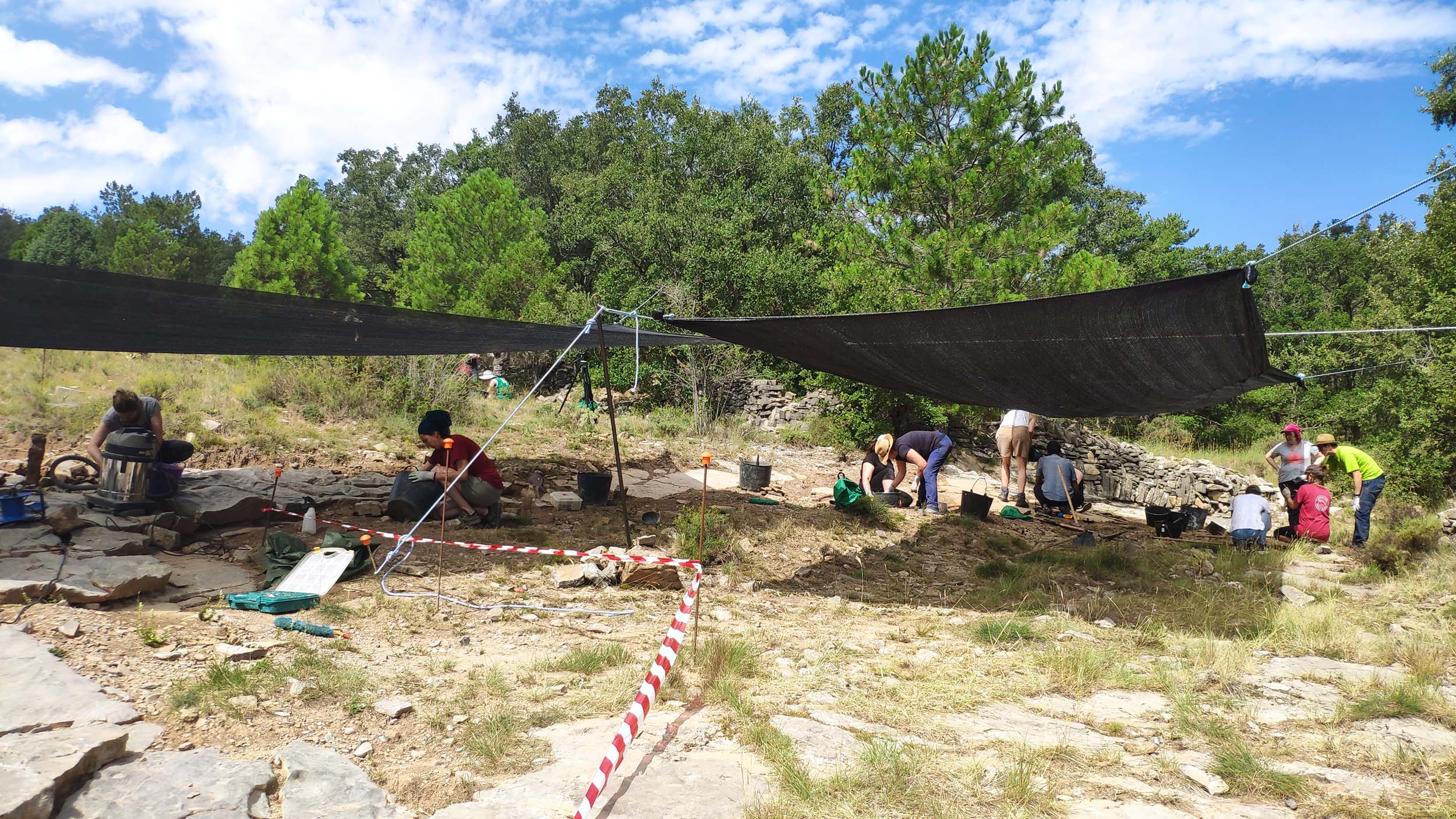 curso paleontologia uvt 23 1