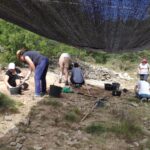 curso paleontologia uvt 23 2