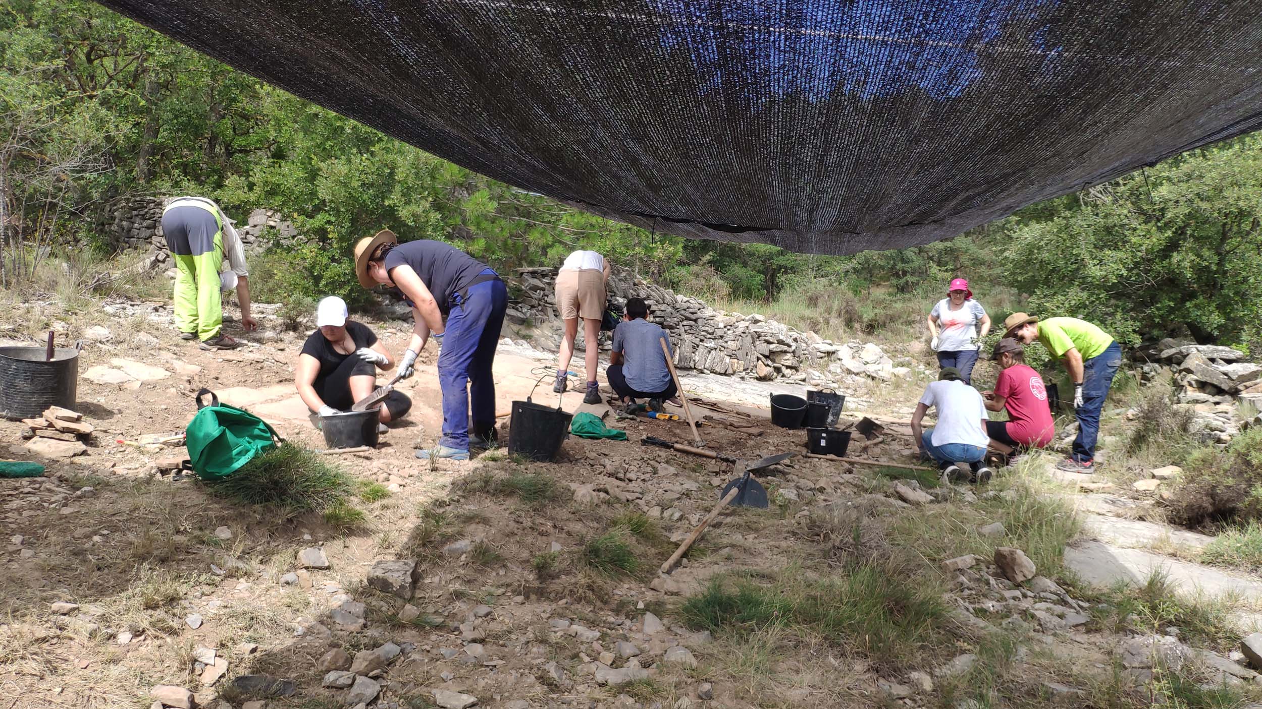 curso paleontologia uvt 23 2
