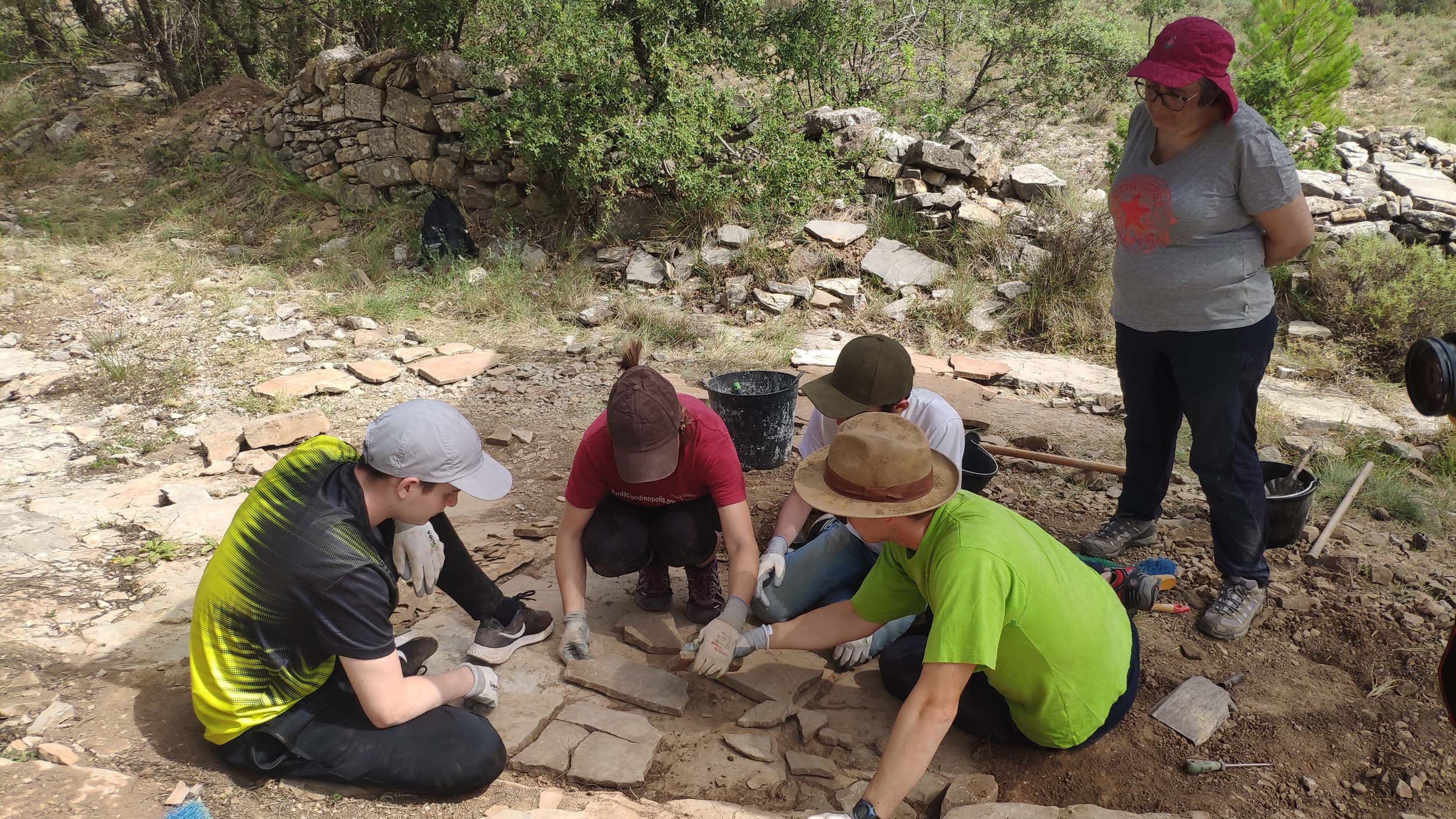 curso paleontologia uvt 23 3