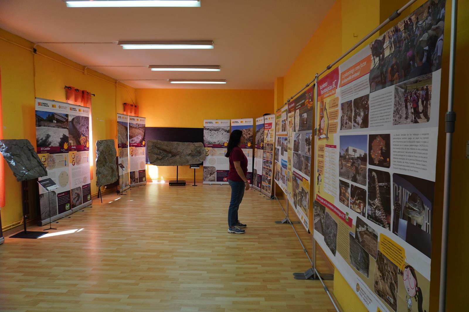Los yacimientos paleontológicos BIC de la provincia de Teruel en el salón de actos de la Asociación de Mujeres La Paloma de Castejón de Valdejasa