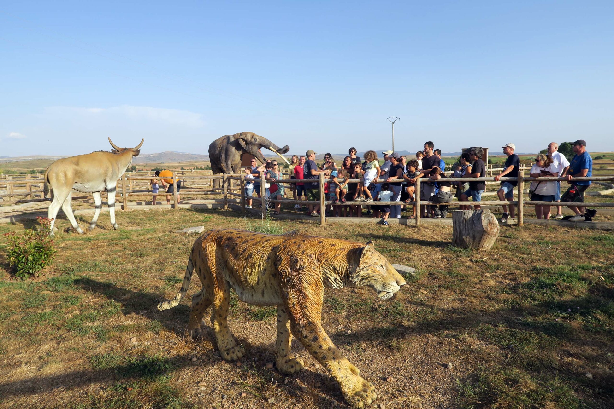 FOTO 3 Safari por la Sabana Turoliense