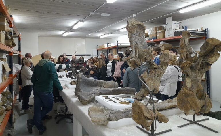 Foto 1 Visita público general JPA Fundación Dinópolis DIM