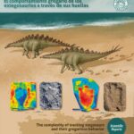 Figura 1 vertical low