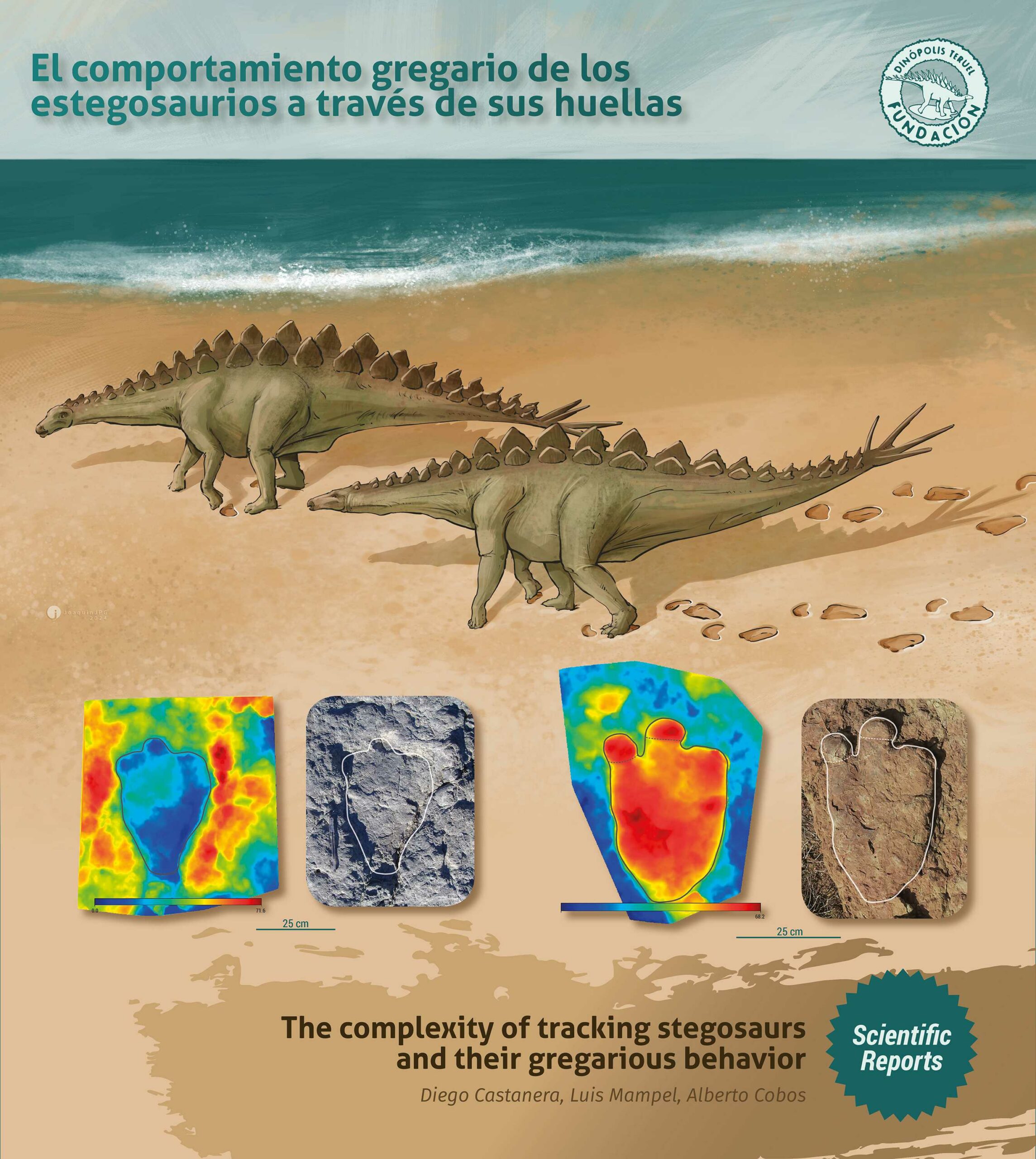 Figura 1 vertical low