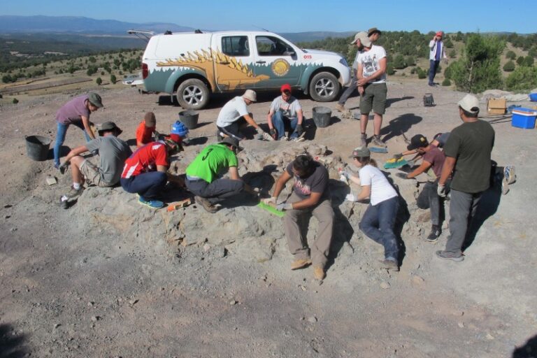 foto de archivo curso Paleontología UVT2
