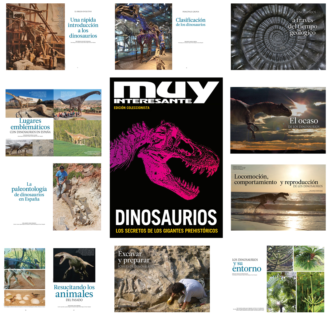 IMAGEN REVISTA MUY INTERESANTE