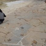 FOTO 3 MAS DE PÉREZ Copy