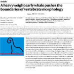 Foto 1 portada artículo ganador