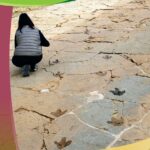 Figura 1 Portada Paleoguía 05