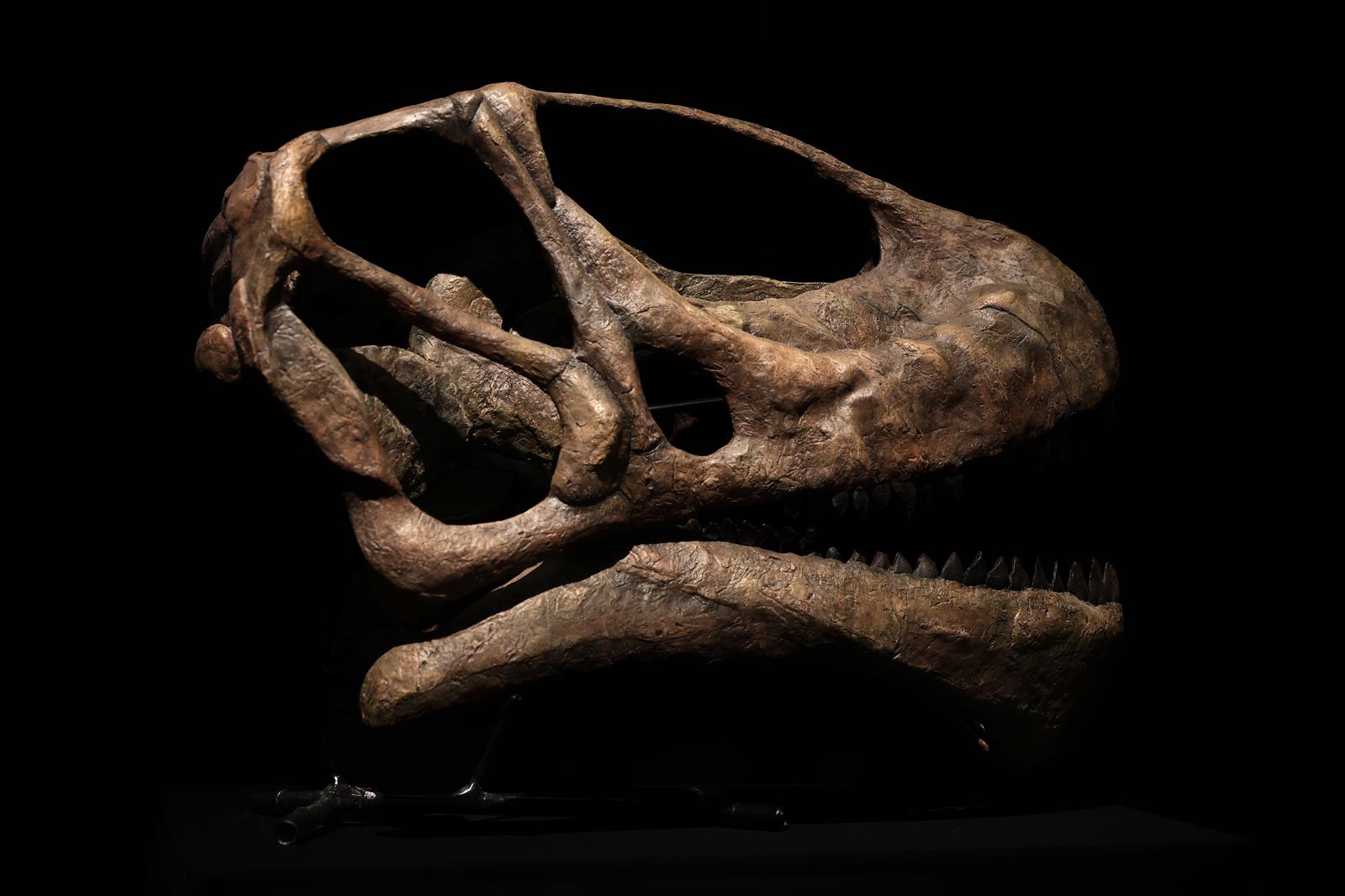 AL El pasado nunca estuvo tan presente 0003 Copy